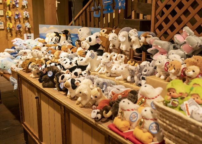 全部かわいい 小樽オルゴール堂 の魅力と人気のオルゴールを一挙紹介 Live Japan 日本の旅行 観光 体験ガイド