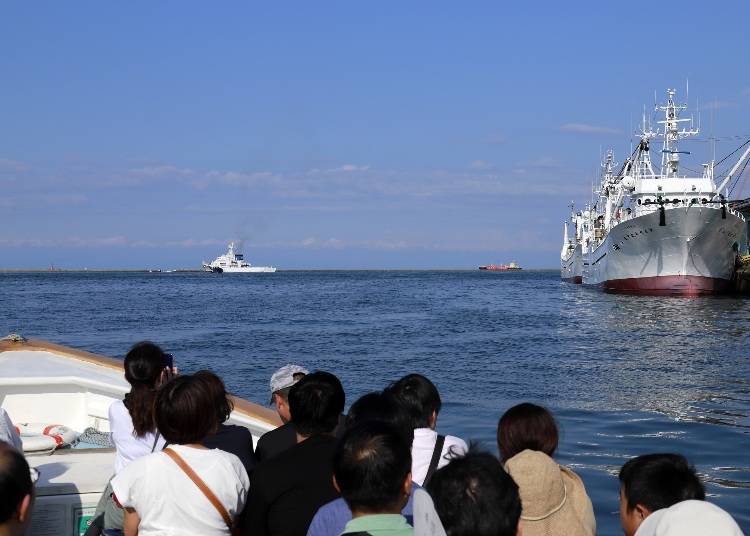 小樽港因為防波堤的關係海浪較為平穩，船隻不會過於晃動。