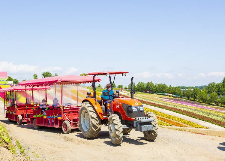 Hop a ride around the Shikisai-no-Oka flower fields!