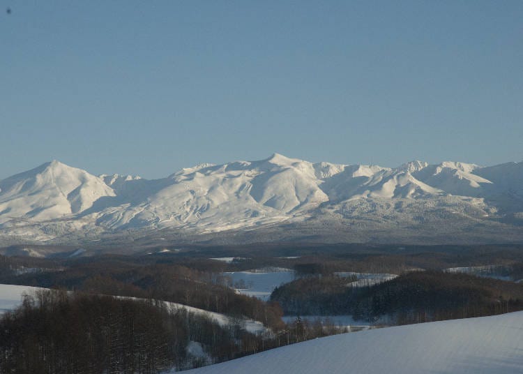 Snow Land: Winter feels like a whole different world after the flower season!