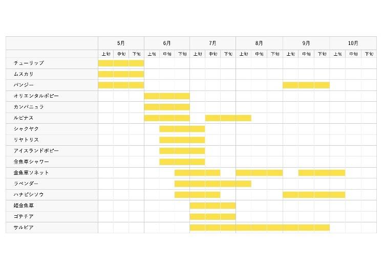 見頃は？季節の花カレンダー