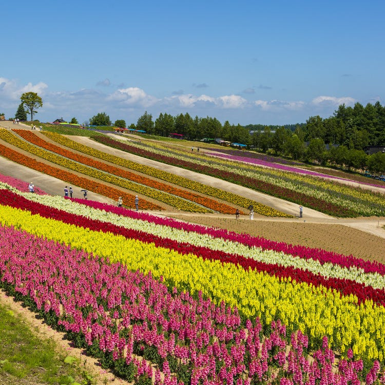 観光する 北海道 Live Japan 日本の旅行 観光 体験ガイド