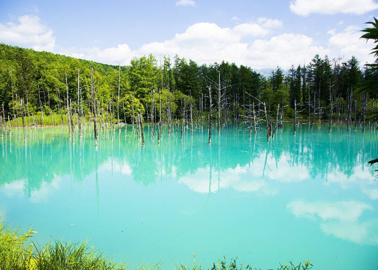 What Makes the Hokkaido Blue Pond So...Blue?