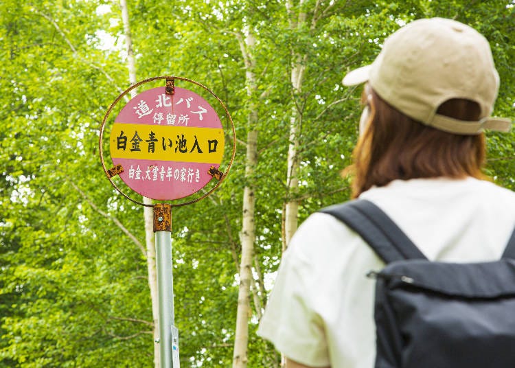How to Get to the Hokkaido Blue Pond