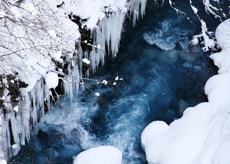 The stark blue of the Biei River thoroughly stands out against its pure white surroundings
