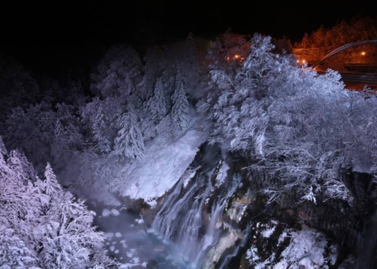 The illuminated Shirahige Waterfall