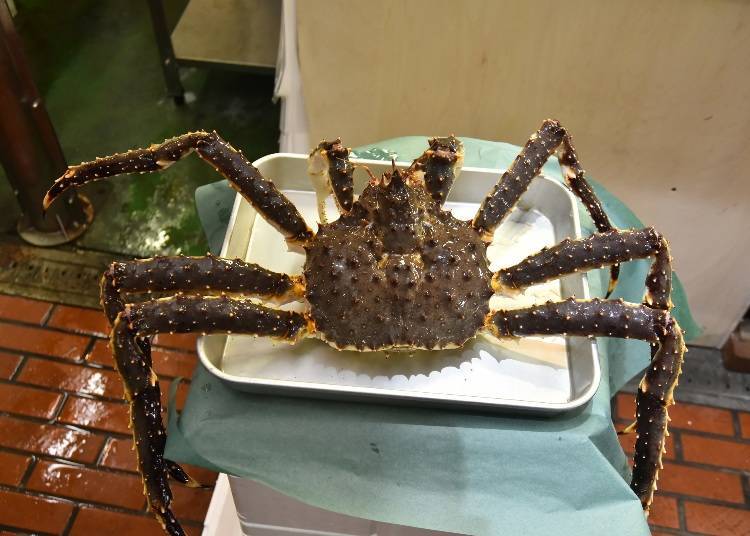 The photo shows an enormous king crab with its spiky shell and long legs. Meat is packed in the legs and is excellent for eating.
