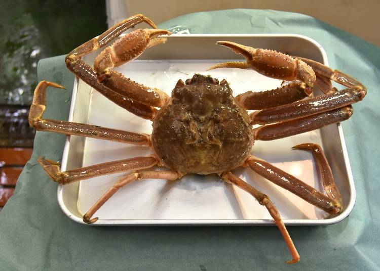 2. Snow crab (Season: March-July)