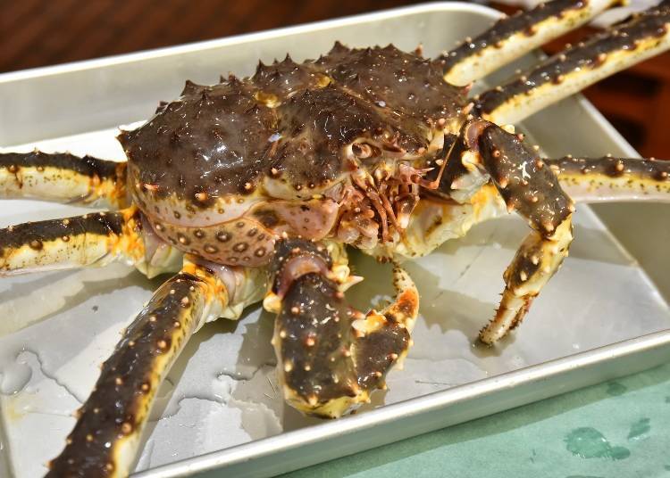 What is the most popular type of Hokkaido crab for tourists?