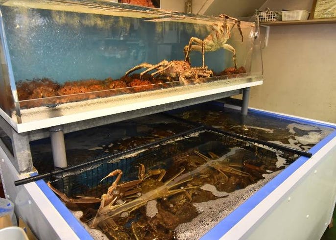 北海道の カニ 完全ガイド 二条市場で聞いた カニの種類やベストな時期 食べ方は live japan 日本の旅行 観光 体験ガイド