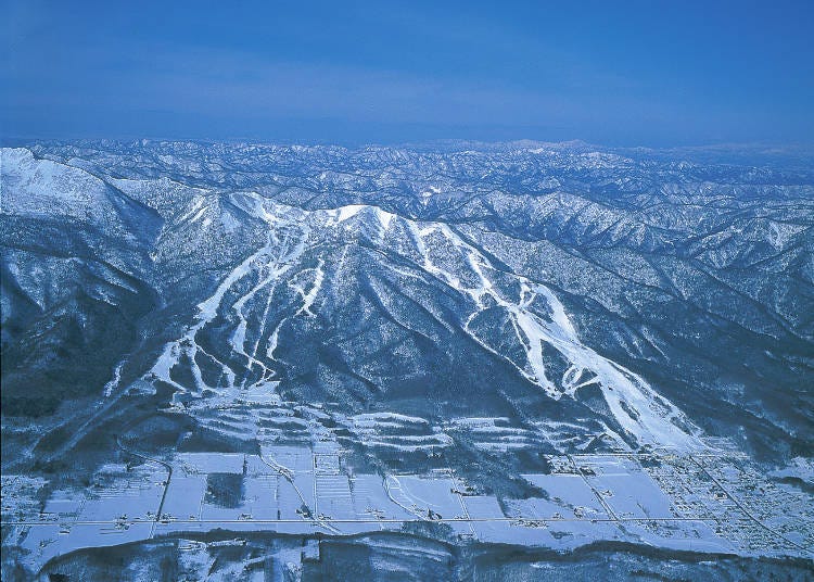 富良野スキー場とは