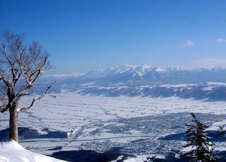 富良野スキー場が国内外から選ばれる理由