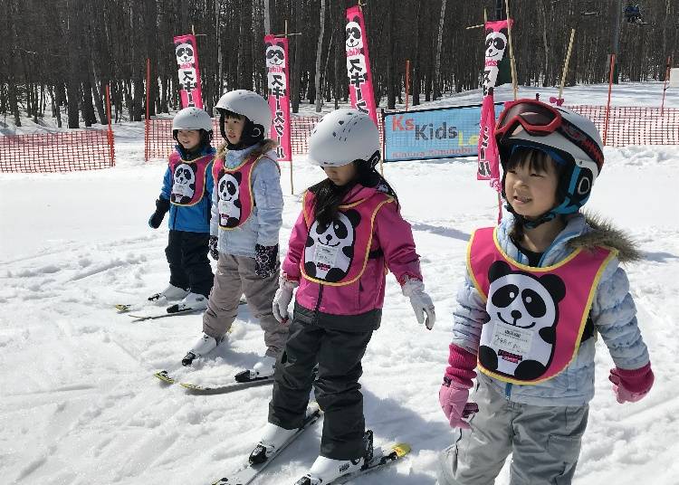 富良野スキー場のスクール情報