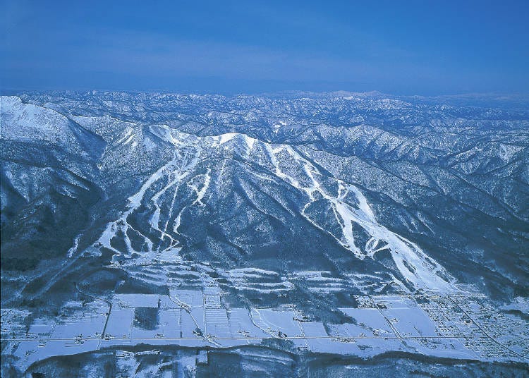 富良野滑雪场有什么特色？