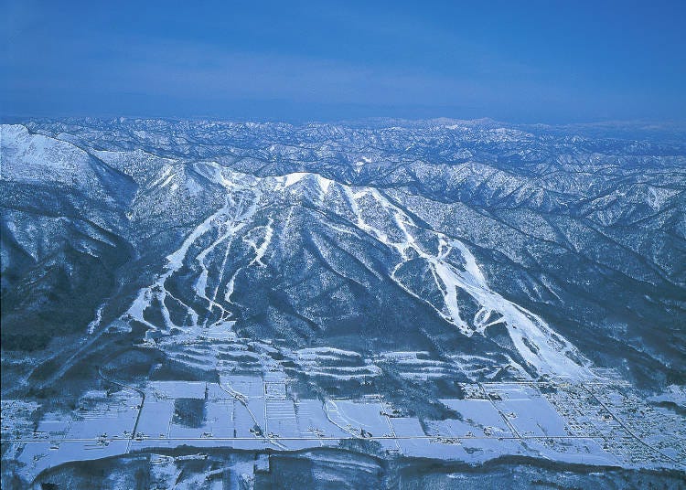 富良野滑雪场有什么特色？
