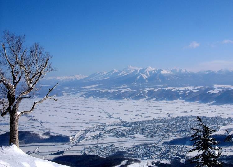 选择富良野滑雪场的理由有这些！