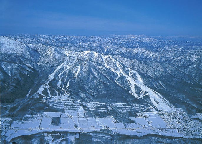 富良野滑雪場 交通方式 吊椅券 用具租借 中文教練等全攻略 live japan 日本旅遊 文化體驗導覽