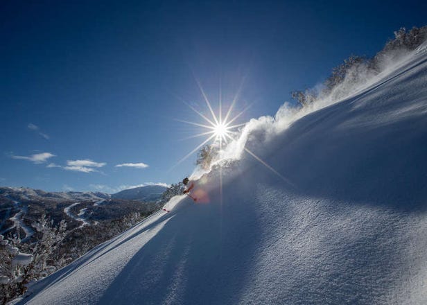 2022年Kiroro滑雪场(喜乐乐雪世界)全攻略：交通、教练、吊椅券、滑雪季等
