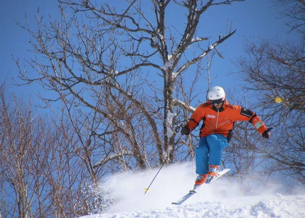 홋카이도 스키장, 아사히카와에서 30분 거리의 세계적 수준의 '가무이 스키 링크스' 총정리