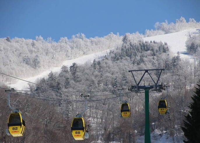 道北最大級の カムイスキーリンクス 徹底ガイド 雪質もコスパも抜群 live japan 日本の旅行 観光 体験ガイド