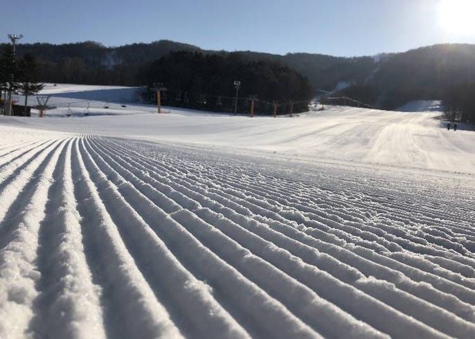 道北最大級の カムイスキーリンクス 徹底ガイド 雪質もコスパも抜群 live japan 日本の旅行 観光 体験ガイド