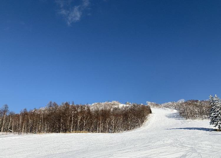 前往神居滑雪場的交通方法