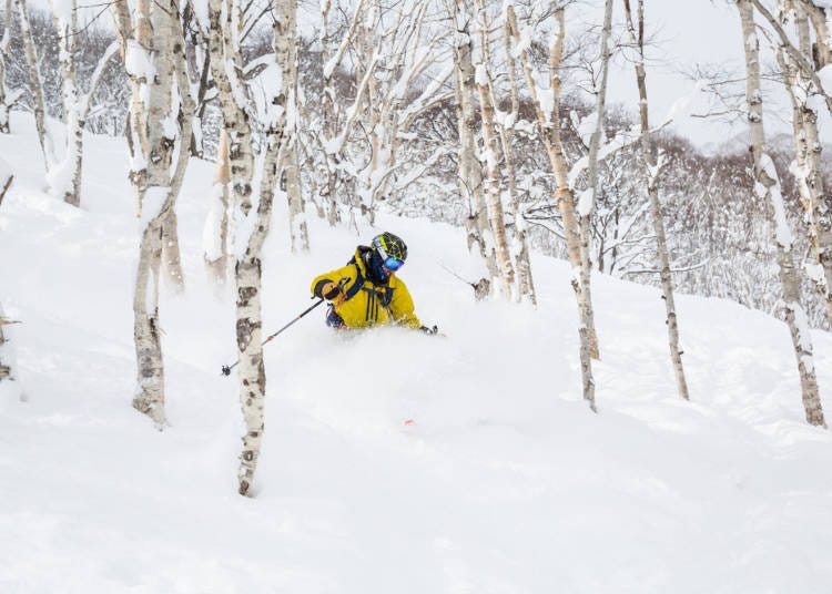 全世界的单板、双板滑雪玩家都想去北海道的理由