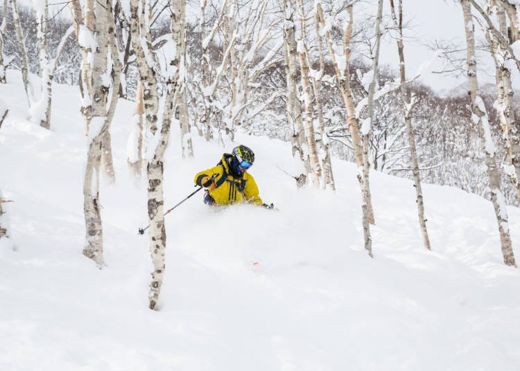 全世界的單板、雙板滑雪玩家都想去北海道的理由