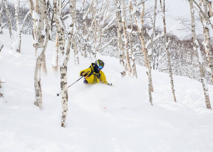 專家告訴你 北海道15座滑雪度假村攻略大全 live japan 日本旅遊 文化體驗導覽