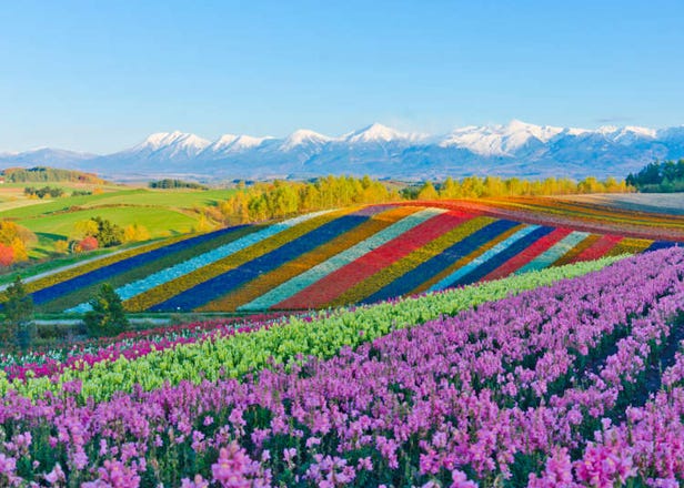 真的好想去旅行！日本人最想旅行的地區大公開