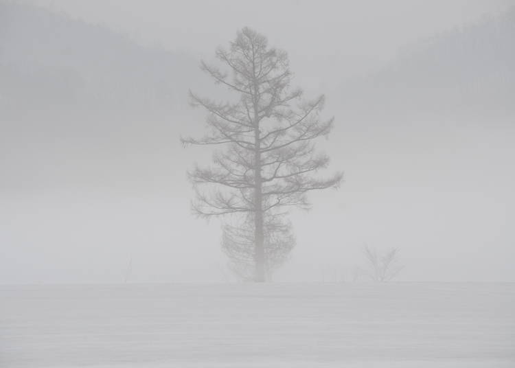 5. Hokkaido’s Terrifying ‘Whiteouts!’