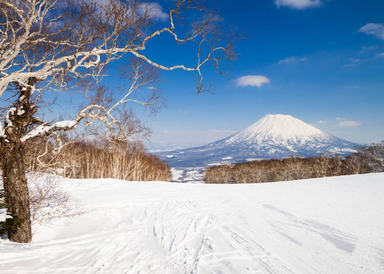 겨울의 홋카이도는 오지 않으면 느낄 수 없는 놀라움과 감동이 있다