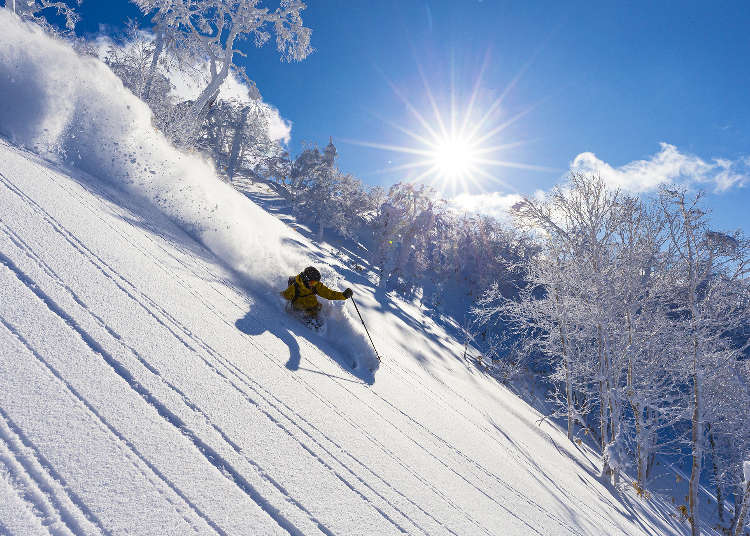 홋카이도 루스츠 리조트 스키 여행을 위한 시즌과 코스, 리프트권 정리