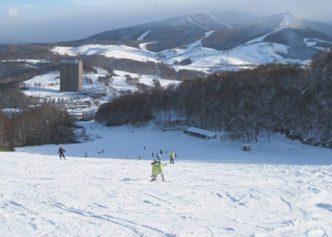 2021年 冬のルスツリゾート完全ガイド パウダースノーを満喫できる3つの山を滑りつくせ live japan 日本の旅行 観光 体験ガイド