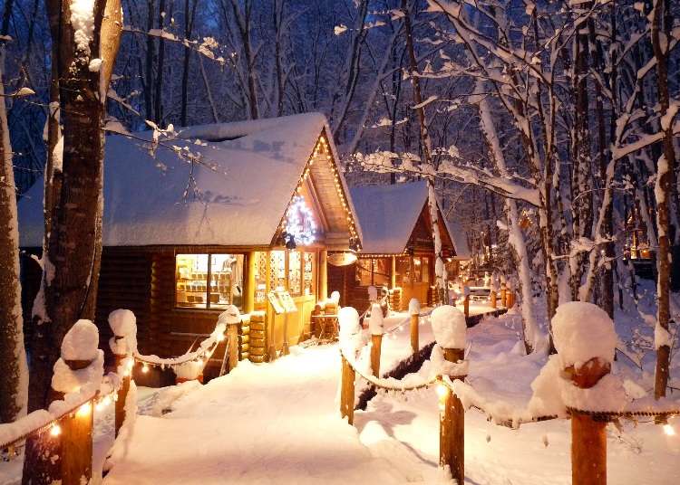 これが北海道の雪景色だ 一生に一度は見たい冬の絶景10選 Live Japan 日本の旅行 観光 体験ガイド