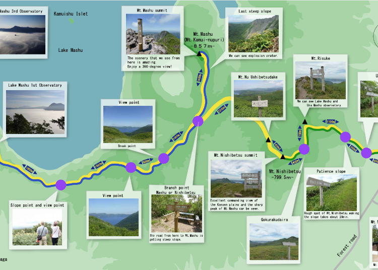 The hiking route as seen on the guide map.