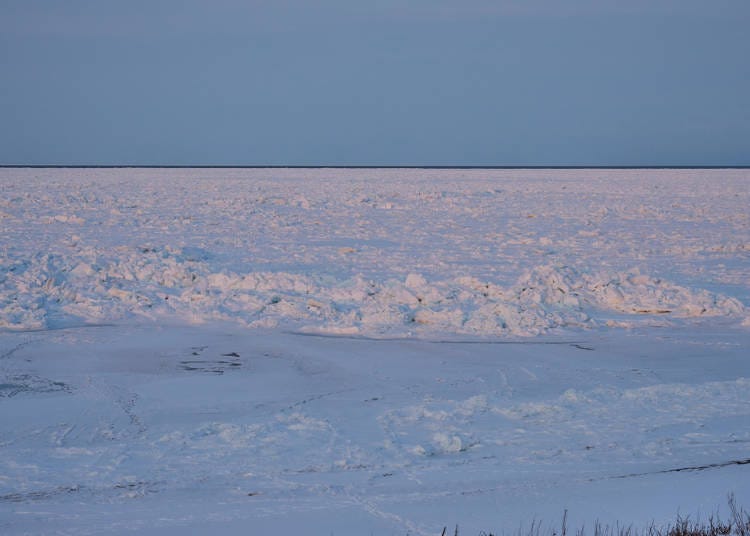3．流氷が寄せるオホーツク海岸の散策