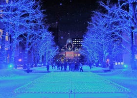Must-See! 10 Fun Things to Do in Sapporo in Winter