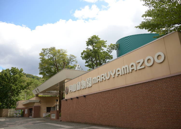 照片提供：札幌市圆山动物园