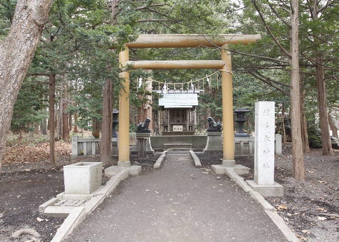 21年度 北海道神宮の楽しみ方完全ガイド 参拝方法やお守り グルメまで Live Japan 日本の旅行 観光 体験ガイド
