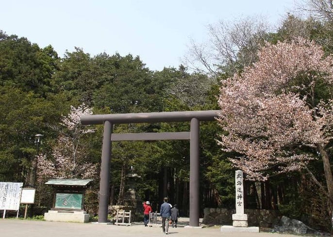 21北海道新年就到 北海道神宮 初詣 觀光指南 Live Japan 日本旅遊 文化體驗導覽