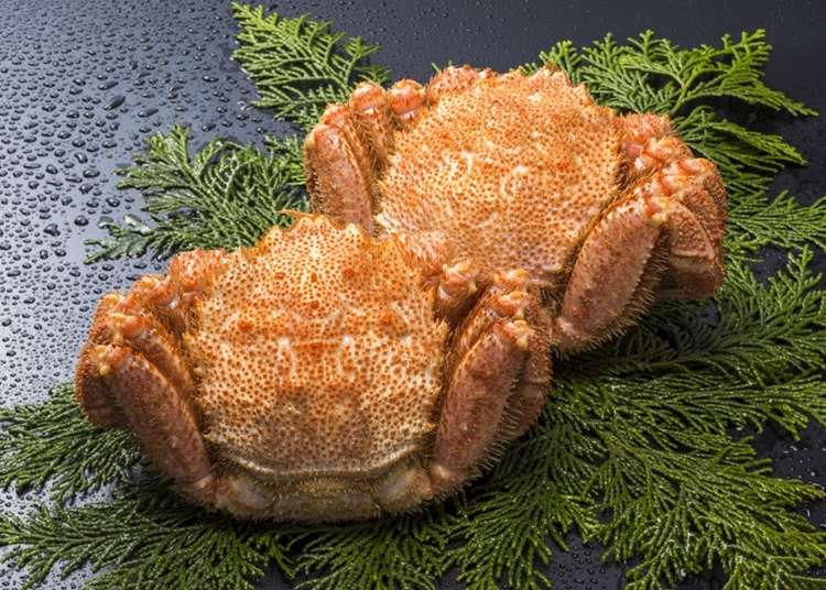 これは知らなかった 冬の北海道で食べられる旬の食材 グルメ9選 Live Japan 日本の旅行 観光 体験ガイド