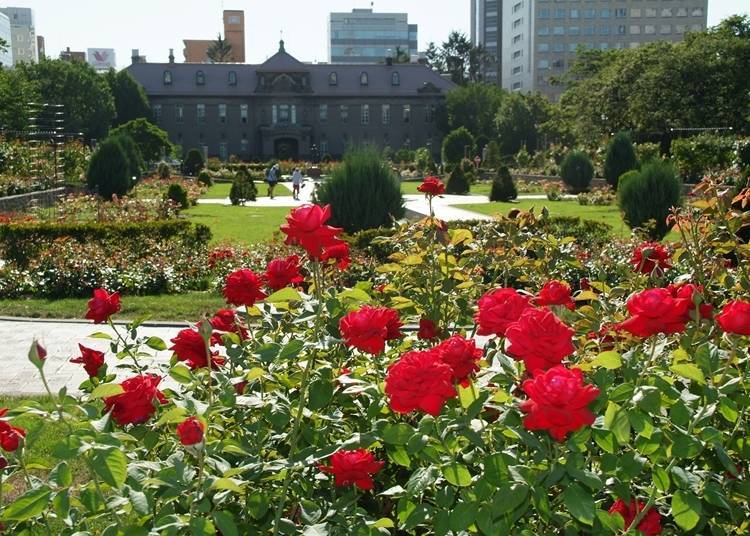 The Sapporo Archives Museum visible in the background