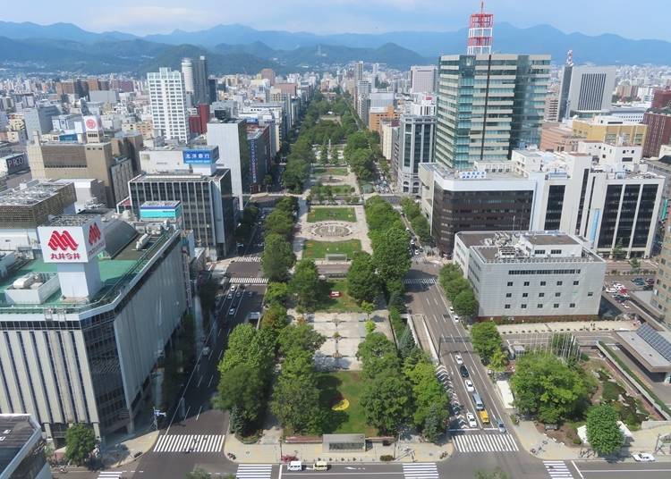 View from the Sapporo TV Tower observation deck