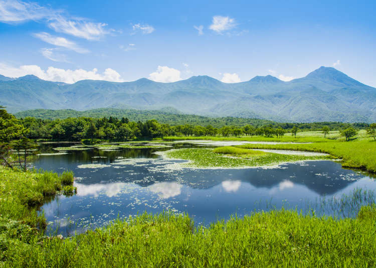 Exploring the Beauty of Hokkaido – An Interview With an International Nature  Guide | LIVE JAPAN travel guide