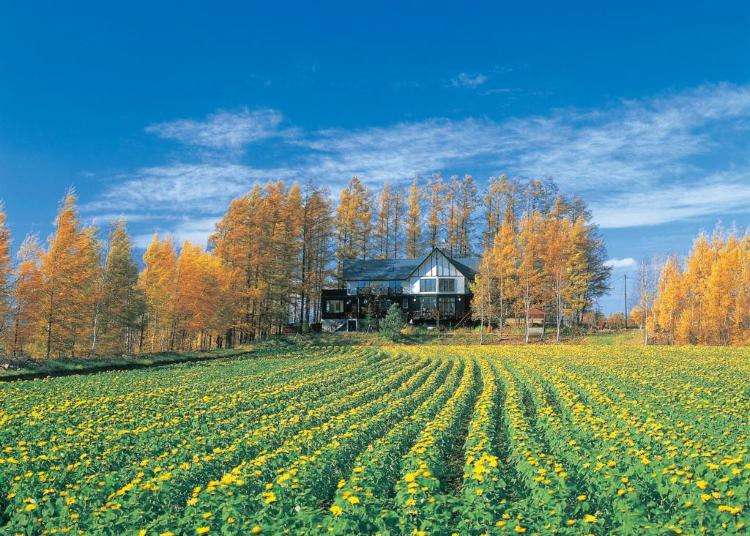 海 湖 花畑も さわやかな北海道の絶景を楽しめる贅沢ホテル10選 Live Japan 日本の旅行 観光 体験ガイド