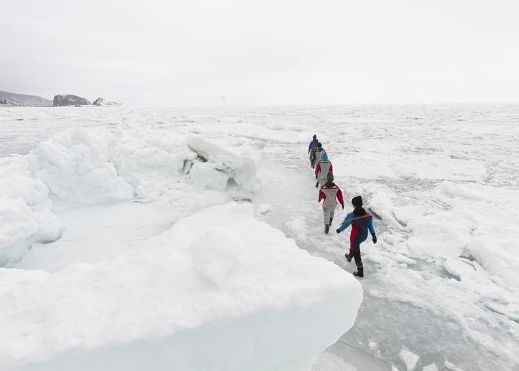 3．流氷の海で自然体験