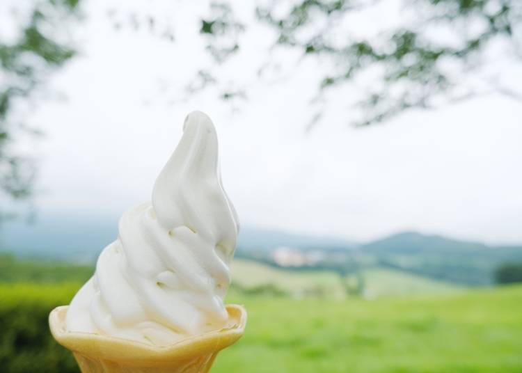 16．牧場の新鮮なミルクソフトクリームを味わう