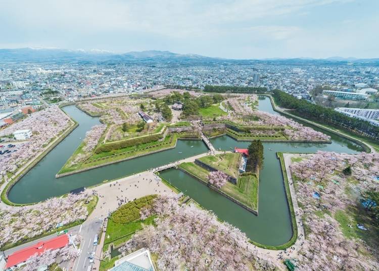 9. 欣賞被櫻花染色的「五稜郭」