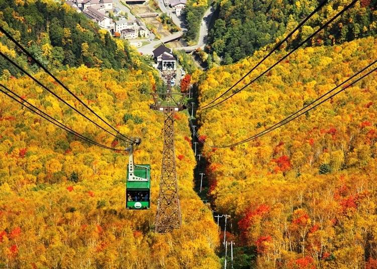 20. 在「黑岳」的楓紅季節時，乘坐纜車欣賞秋天的美景